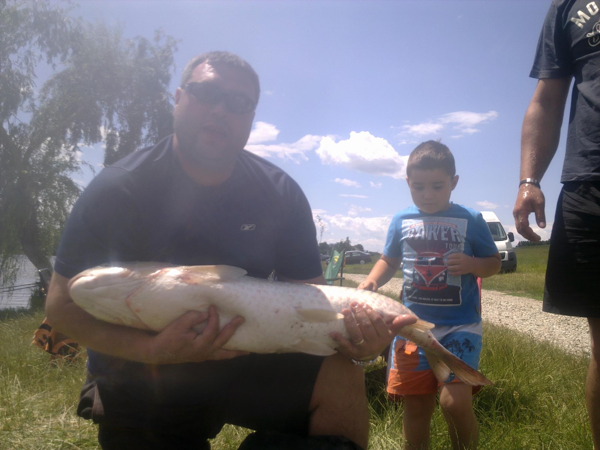 Moara Vlasiei - 26062011148.jpg